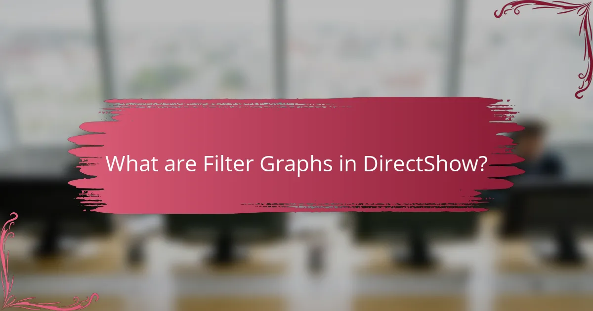What are Filter Graphs in DirectShow?