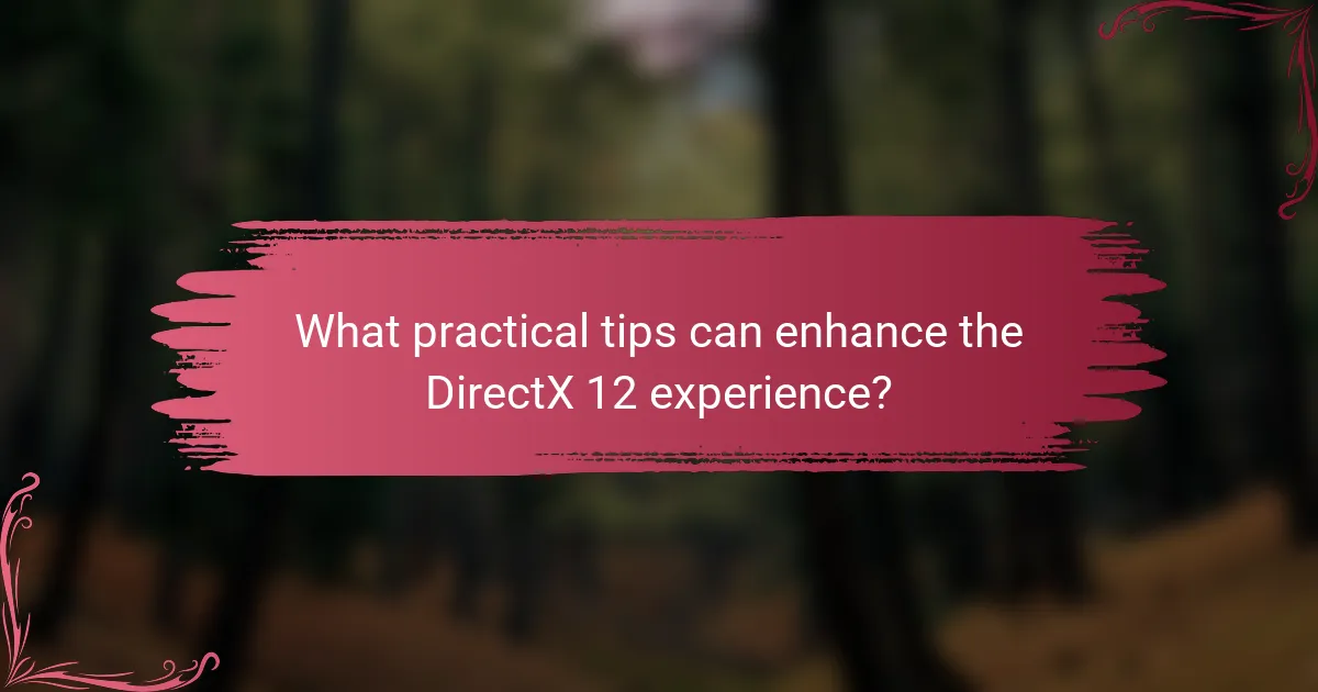 What practical tips can enhance the DirectX 12 experience?